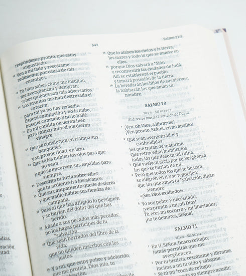 Biblia NVI Letra Grande / Tapa Dura Flores Rosa