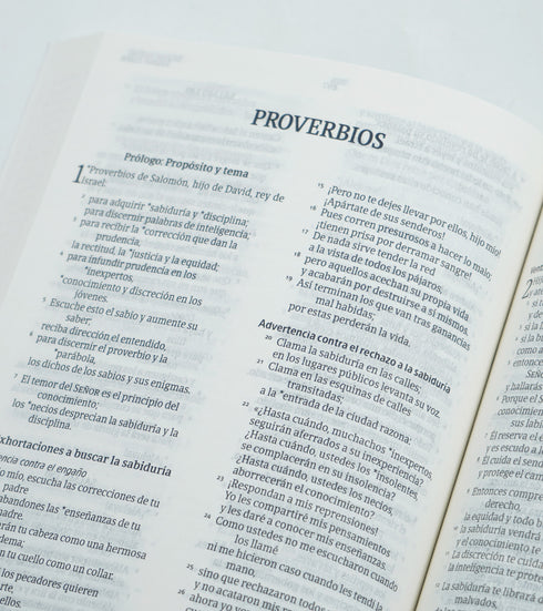 Biblia NVI Ultrafina - Tapa Rústica Cruz