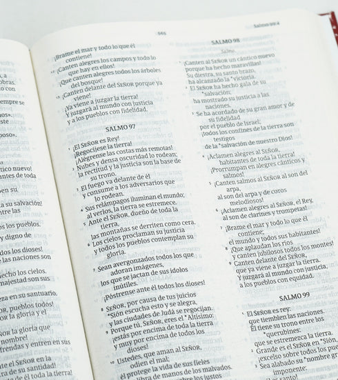 Biblia NVI Letra Grande / Tapa Dura Corona