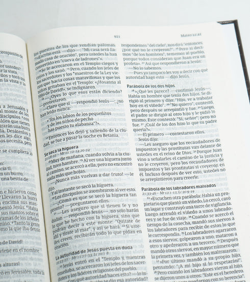 Biblia NVI Letra Grande / Tapa Dura Circulos