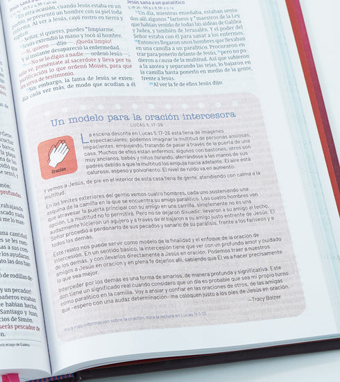 Biblia Temas Cotidianos Para Mujeres, Tapa dura, Rosa