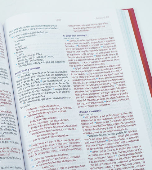 Biblia Temas Cotidianos Para Mujeres, Tapa dura, Rosa