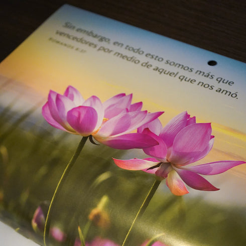 Calendario Manantial de vida Pack x 5