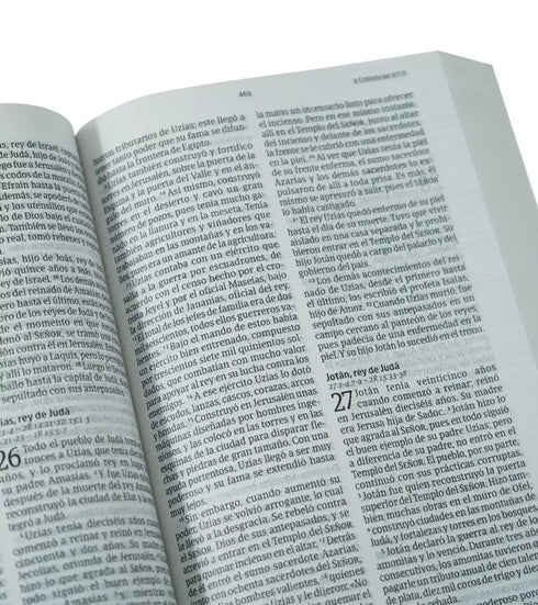 Santa Biblia NVI Letra Grande - Tapa Rustica Multicolor