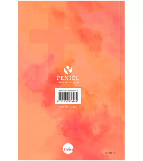 Santa Biblia NVI Letra Grande - Tapa Rustica Roja