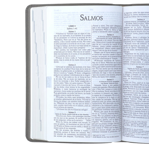 Santa Biblia Ultrafina NVI - Marron