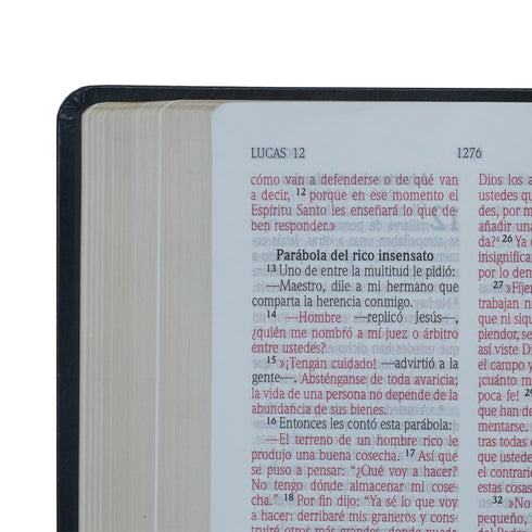 Biblia - Letra Grande - Negra