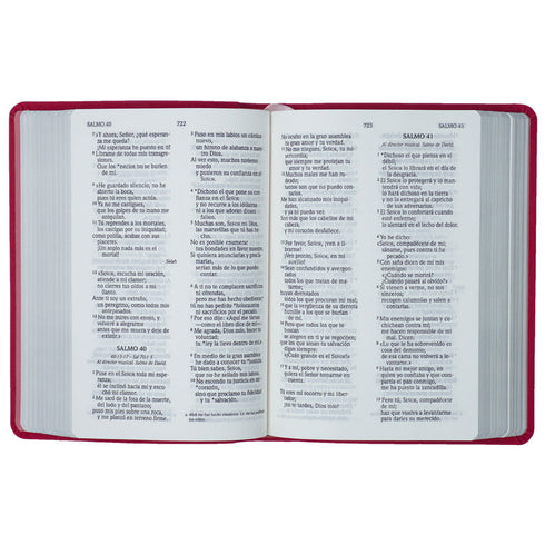 Biblia – Letra Grande – Compacta – Fucsia