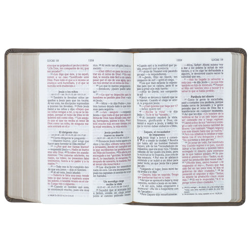 Biblia – Letra Grande – Compacta – Marron