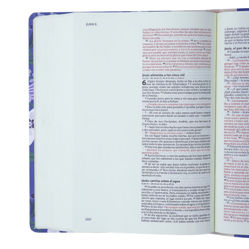 Biblia Ilustra tu fe - Azul