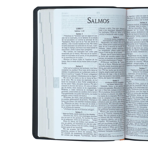 Santa Biblia Ultrafina NVI - Bordo