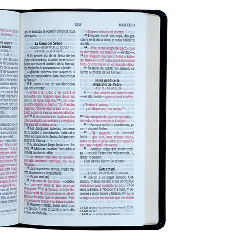 Biblia - Letra Grande - Negra