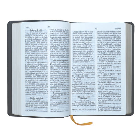 Biblia - Letra Grande - Negra