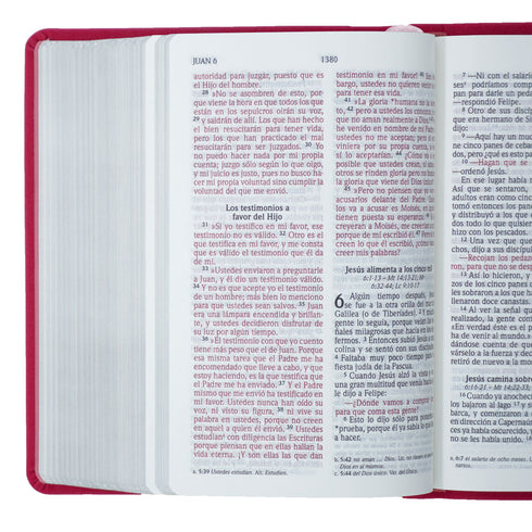 Biblia – Letra Grande – Compacta – Fucsia