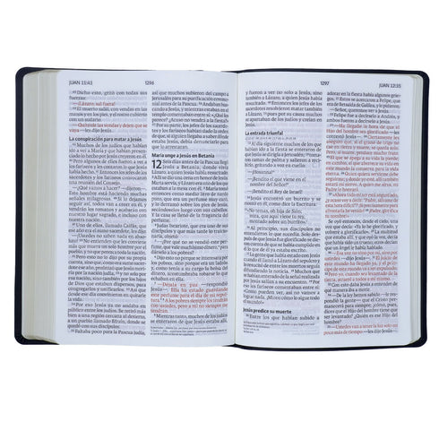 Biblia NVI - Letra Gigante - Negra