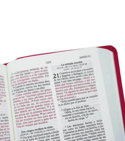 Biblia NVI Letra Grande, Tamaño Bolsillo – Fucsia Tornasolado