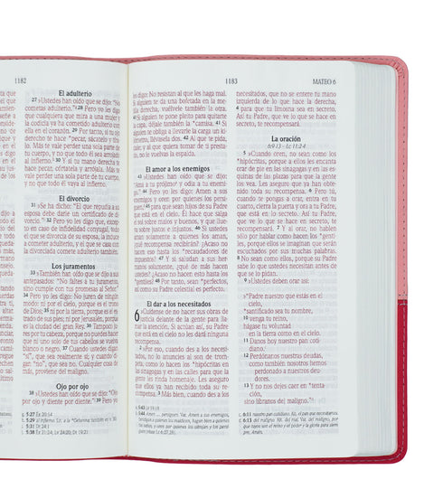 Biblia - Letra Grande - Fucsia y Rosa