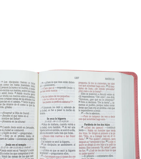 Biblia - Letra Grande - Fucsia y Rosa