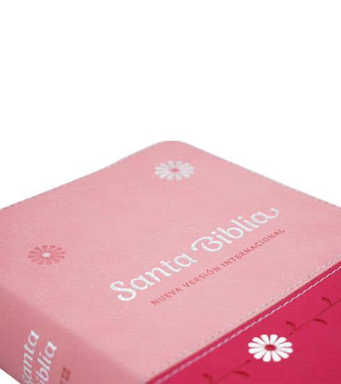 Biblia - Letra Grande - Fucsia y Rosa