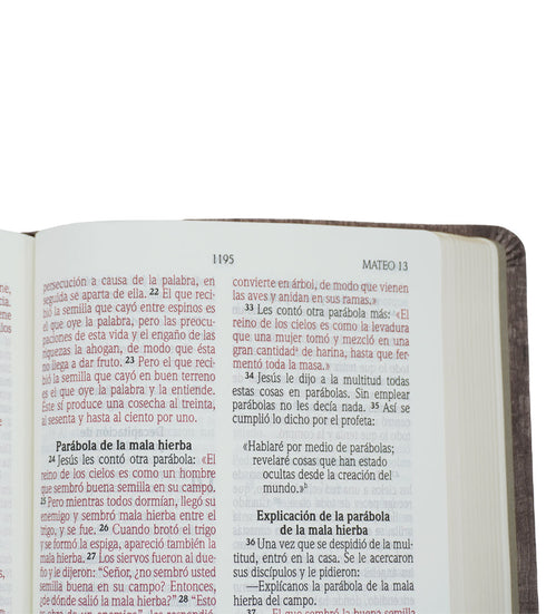 Biblia - Letra Grande - Madera