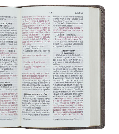 Biblia - Letra Grande - Madera