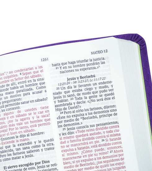 Biblia NVI Letra Grande, Tamaño Bolsillo – Panal Violeta