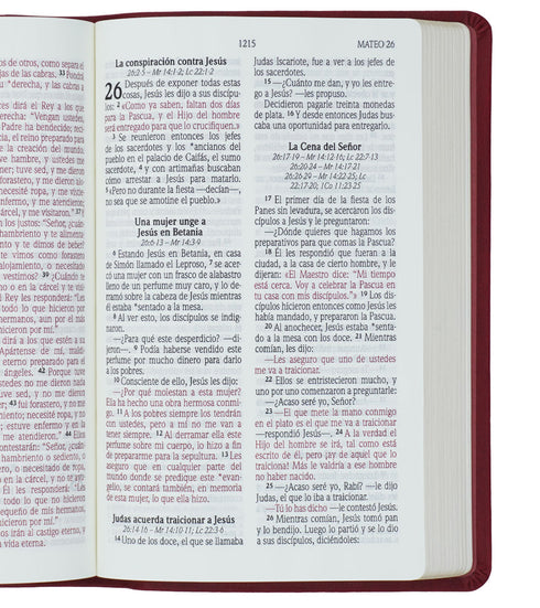 Biblia - Letra Grande - Vino