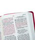 Biblia Ultrafina Nvi - Fucsia