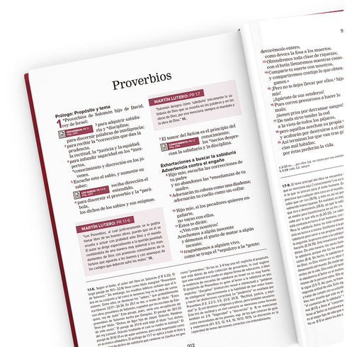 Biblia Nueva Reforma - Negra