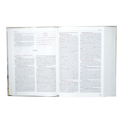 Comentario Bíblico Bruce