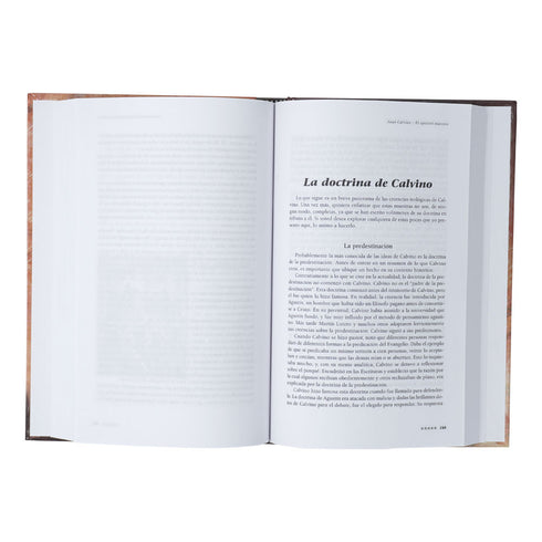 Los Generales de Dios II - Los apasionados Reformadores