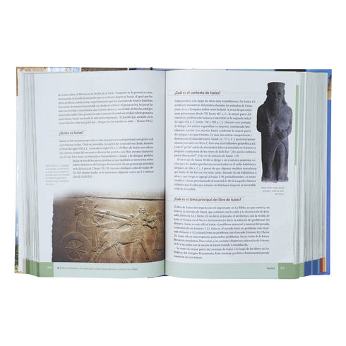 Manual Bíblico Ilustrado Peniel