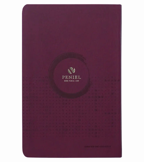 Biblia Ultrafina Nvi -Vino