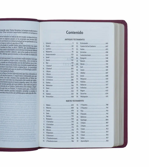 Biblia Ultrafina Nvi -Vino