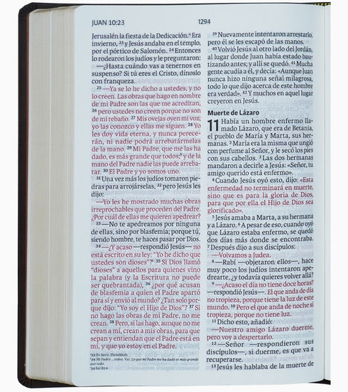 Biblia NVI – Letra Gigante – Marrón