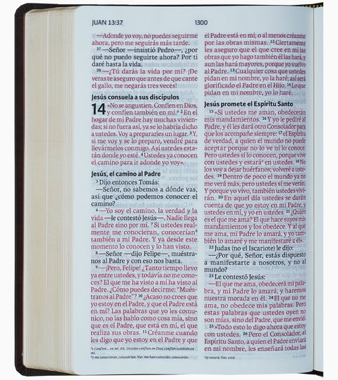 Biblia NVI – Letra Gigante – Marrón