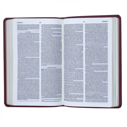 Biblia Ultrafina Nvi -Negra