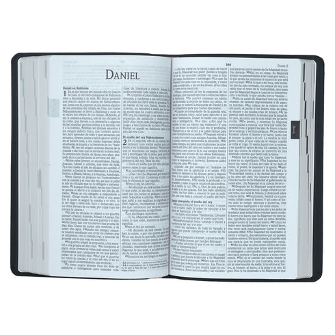 Santa Biblia Ultrafina NVI - Bordo